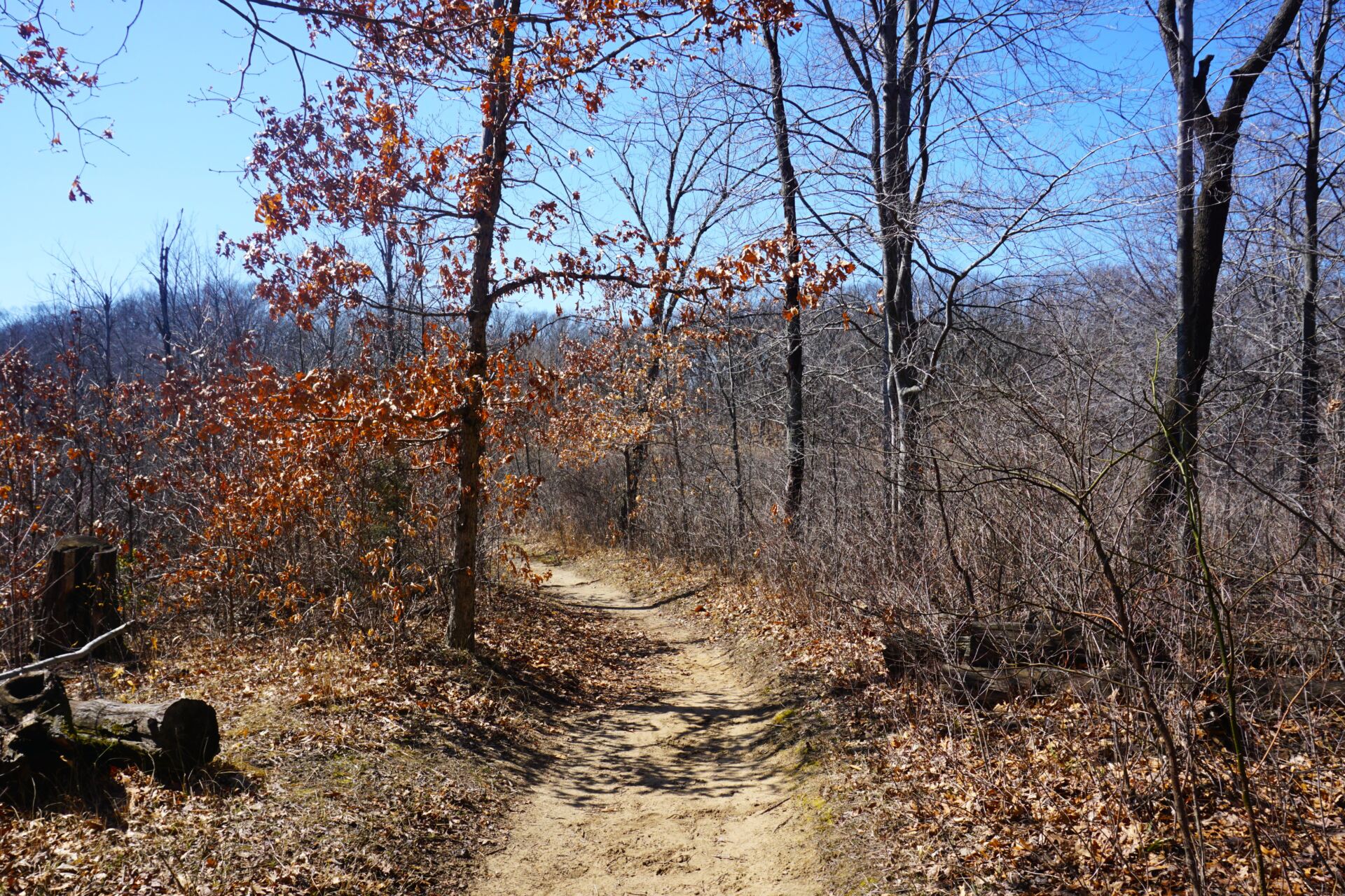 5 Incredible Indiana Dunes Trails