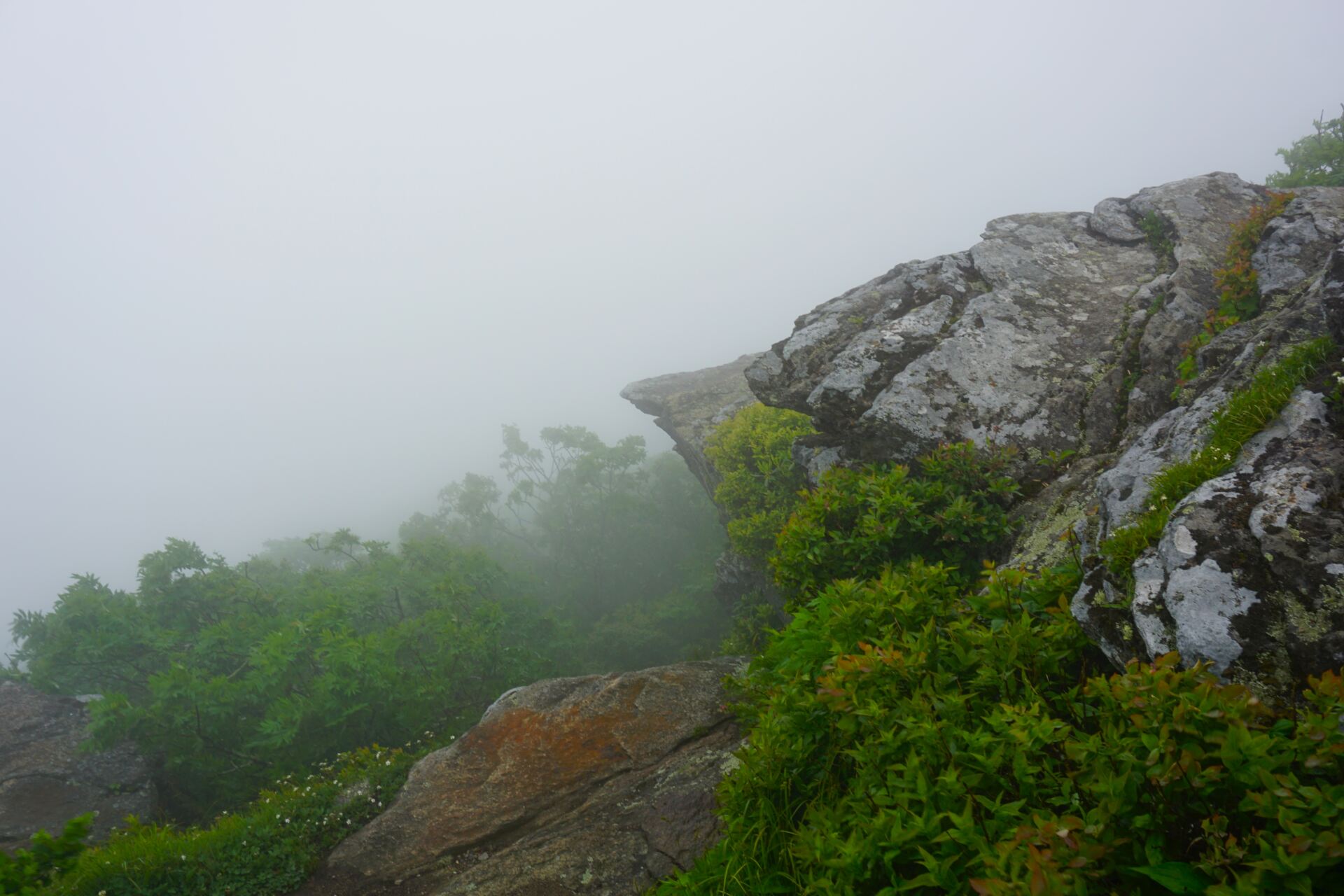 Craggy Pinnacle Trail, Blue Ridge Parkway