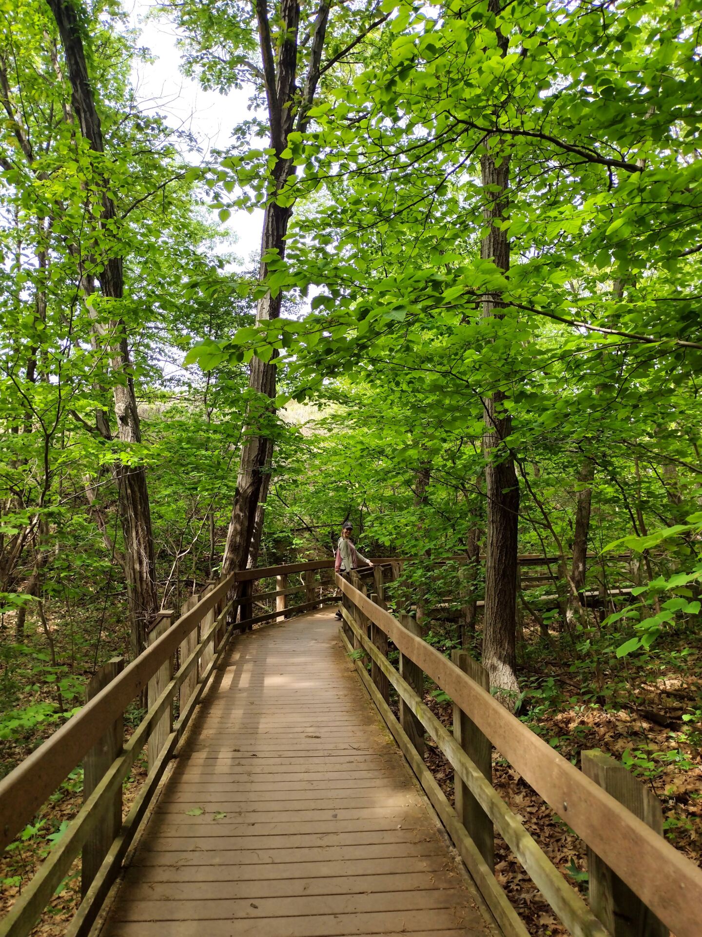 5 Incredible Indiana Dunes Trails - An Apple a Plane