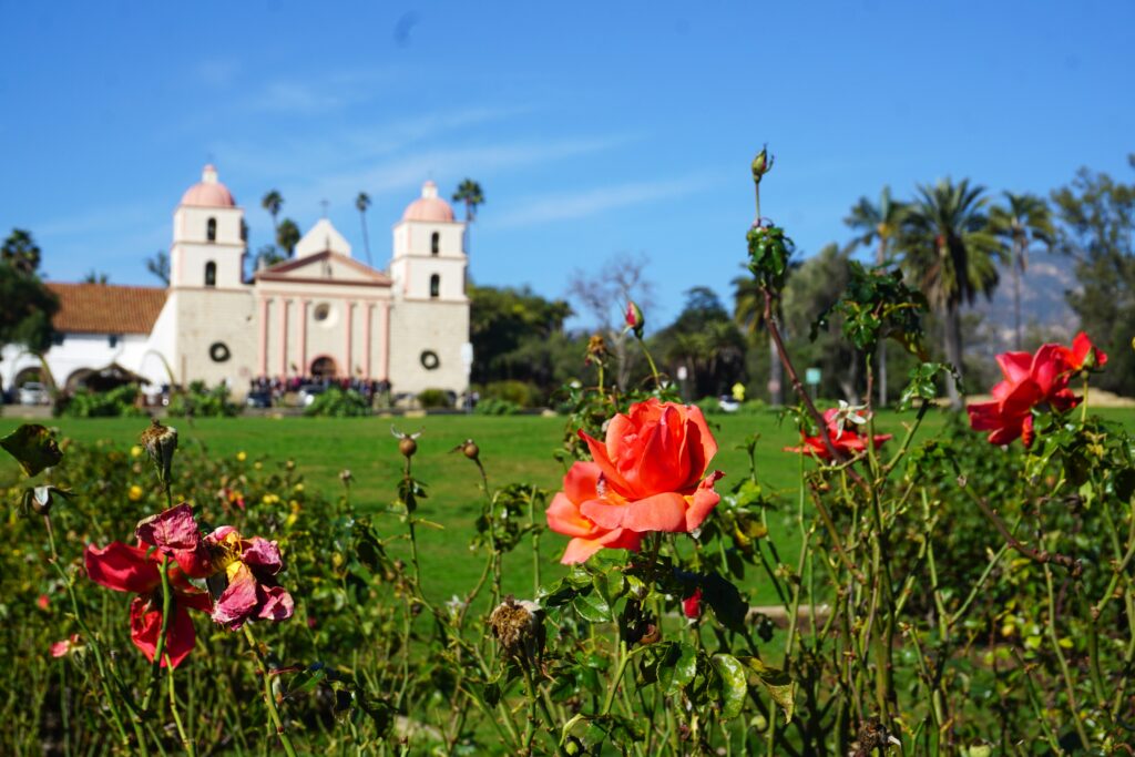 Bright orange roses in the foreground with the historic Santa Barbara Mission and mountains in the distance, a cultural highlight of any Santa Barbara day trip.