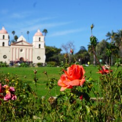 Bright orange roses in the foreground with the historic Santa Barbara Mission and mountains in the distance, a cultural highlight of any Santa Barbara day trip.