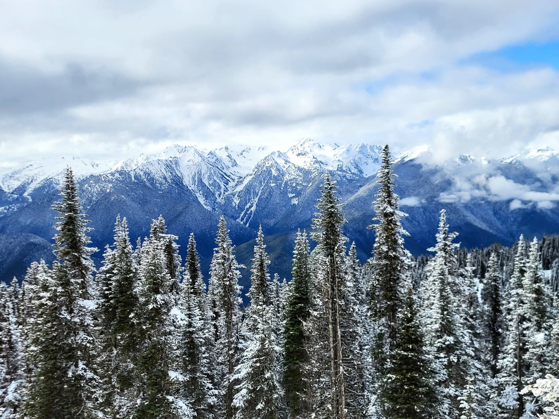 olympic-national-park-one-day-an-apple-a-plane