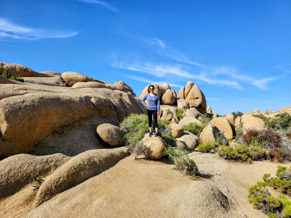 Skull Rock at Joshua Tree