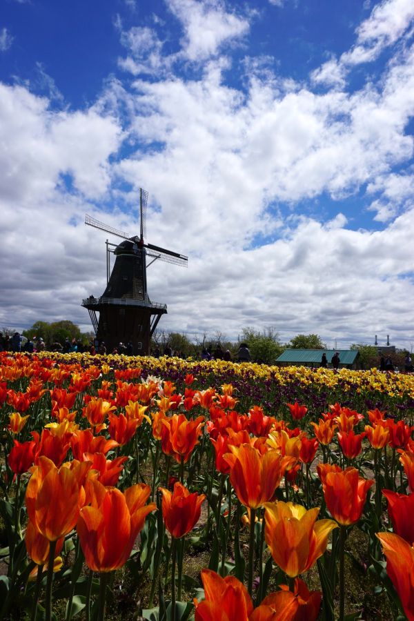 Holland Michigan as a beautiful Midwest Spring Break Destination