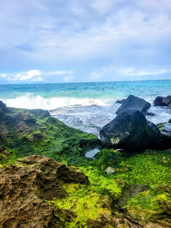 Lively waves crash against moss-covered rocks on a serene beach in San Juan, with the clear turquoise ocean extending to the horizon under a soft blue sky. This tranquil scene is a perfect winter escape, capturing the essence of spending Christmas in San Juan, Puerto Rico.