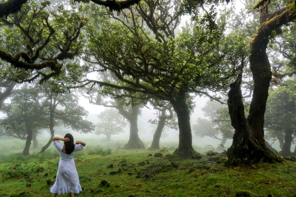 A woman in a white dress stands with her arms raised, surrounded by the twisted branches of ancient trees in Madeira's mystical Fanal Forest. The fog enhances the forest's ethereal ambiance, a serene moment captured during a Madeira itinerary.