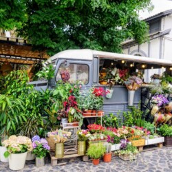 Vibrant flower market set up in a vintage van, with an array of colorful plants and bouquets, at the LX Factory in Lisbon, offering a unique shopping experience for a Lisbon itinerary.