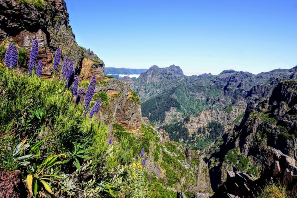 The Ultimate 2 Days in Madeira Itinerary