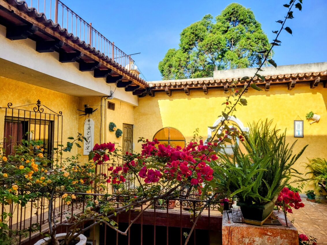 Lush pink bougainvillea and vibrant potted plants adorning the rustic balcony of a hostel in Antigua, showcasing traditional architecture and warm hospitality.
