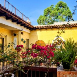Lush pink bougainvillea and vibrant potted plants adorning the rustic balcony of a hostel in Antigua, showcasing traditional architecture and warm hospitality.