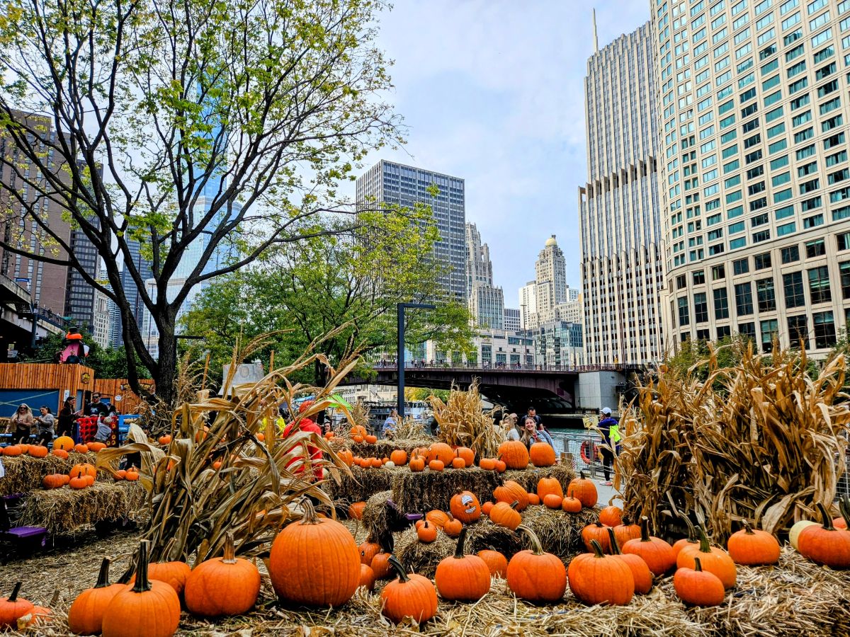 10 Fall Things to do in October in Chicago