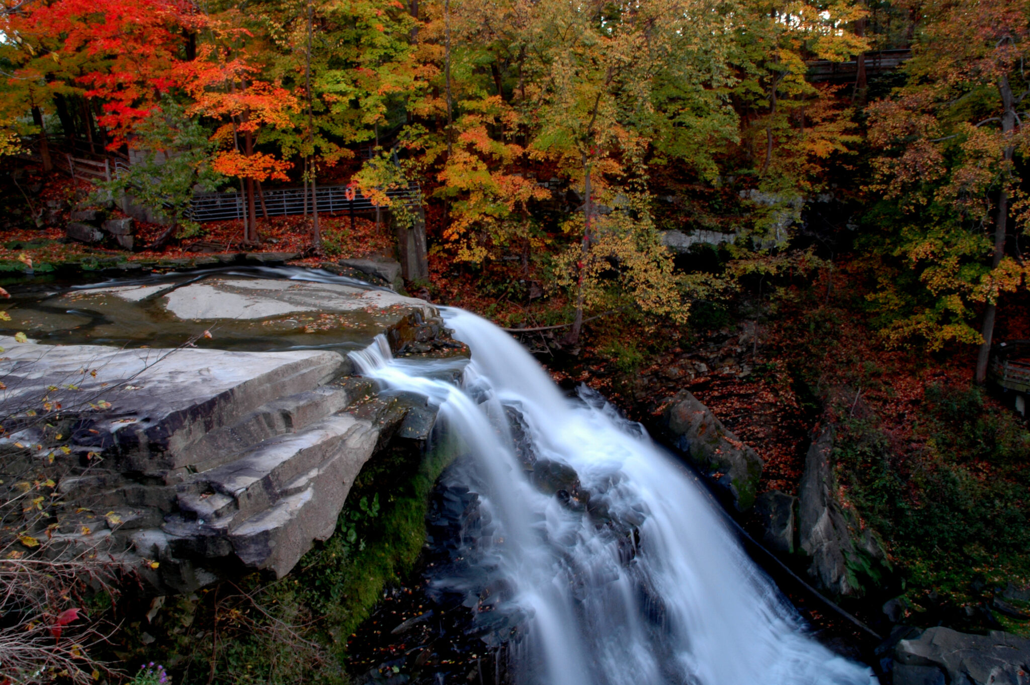 Cascading waters of Brandywine Falls surrounded by a vibrant display of fall foliage in the Midwest at Cuyahoga National Park.