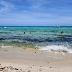 2 Days in Miami Itinerary [2025]