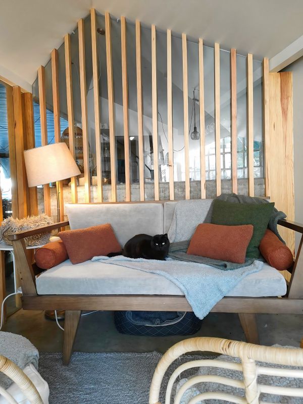 Cozy corner of O Porto dos Gatos Cafe, featuring modern wooden decor and a black cat lounging on a couch, a relaxing spot for cat lovers and coffee aficionados in Porto.