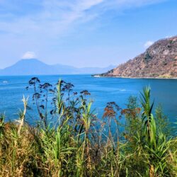 Scenic lakeside panorama with lush flora and views of distant volcanoes, capturing the tranquil beauty of Panajachel.