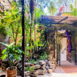 A serene garden pathway lined with lush tropical plants leading to a dining area, part of the tranquil dining experience offered by a restaurant in Antigua.