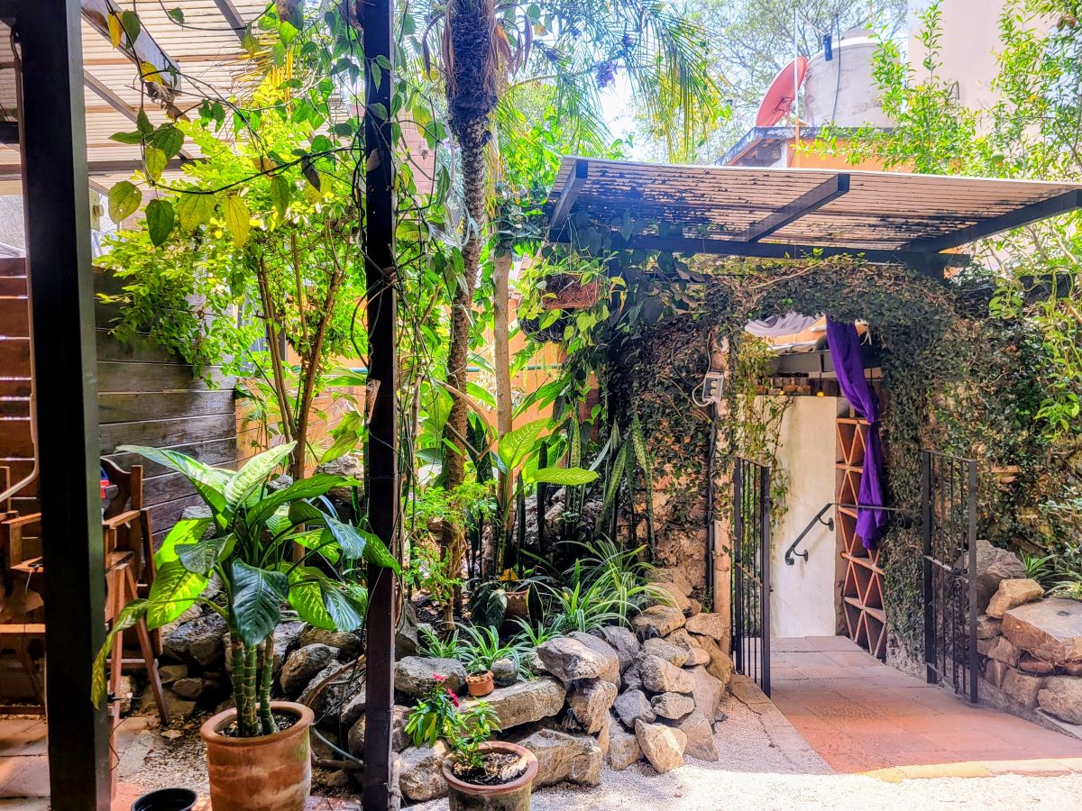 7 Amazing Restaurants in Antigua, Guatemala [2025]