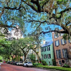 Savannah 1-Day Itinerary