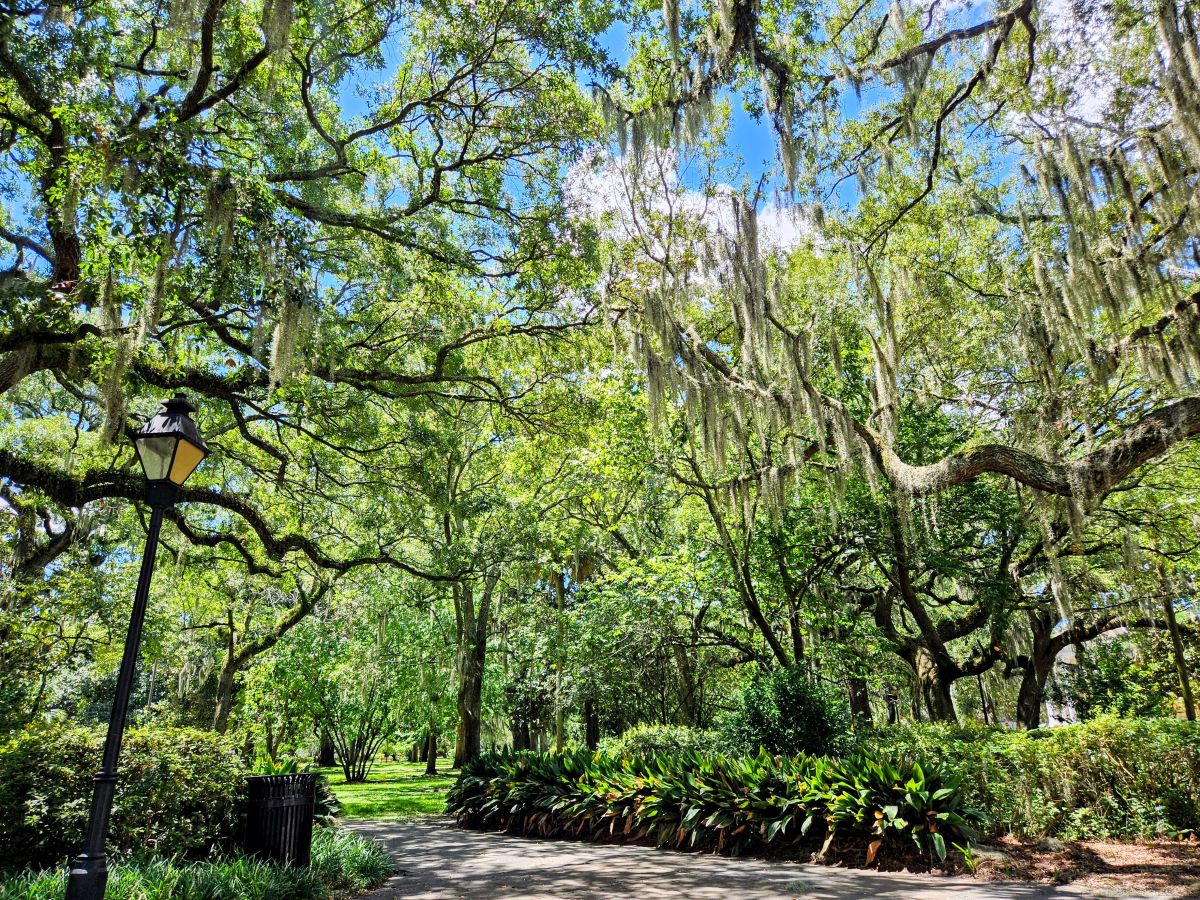 Savannah 4-Day Itinerary [2026]