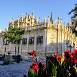 Vibrant red flowers in the foreground with the medieval stone walls of La Plaza del Triunfo in Seville behind, a picturesque and historic stop on any Seville itinerary.